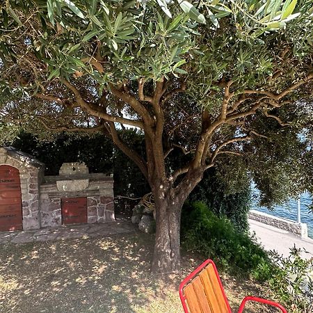 Vila Jadranka Apartments Herceg Novi Extérieur photo