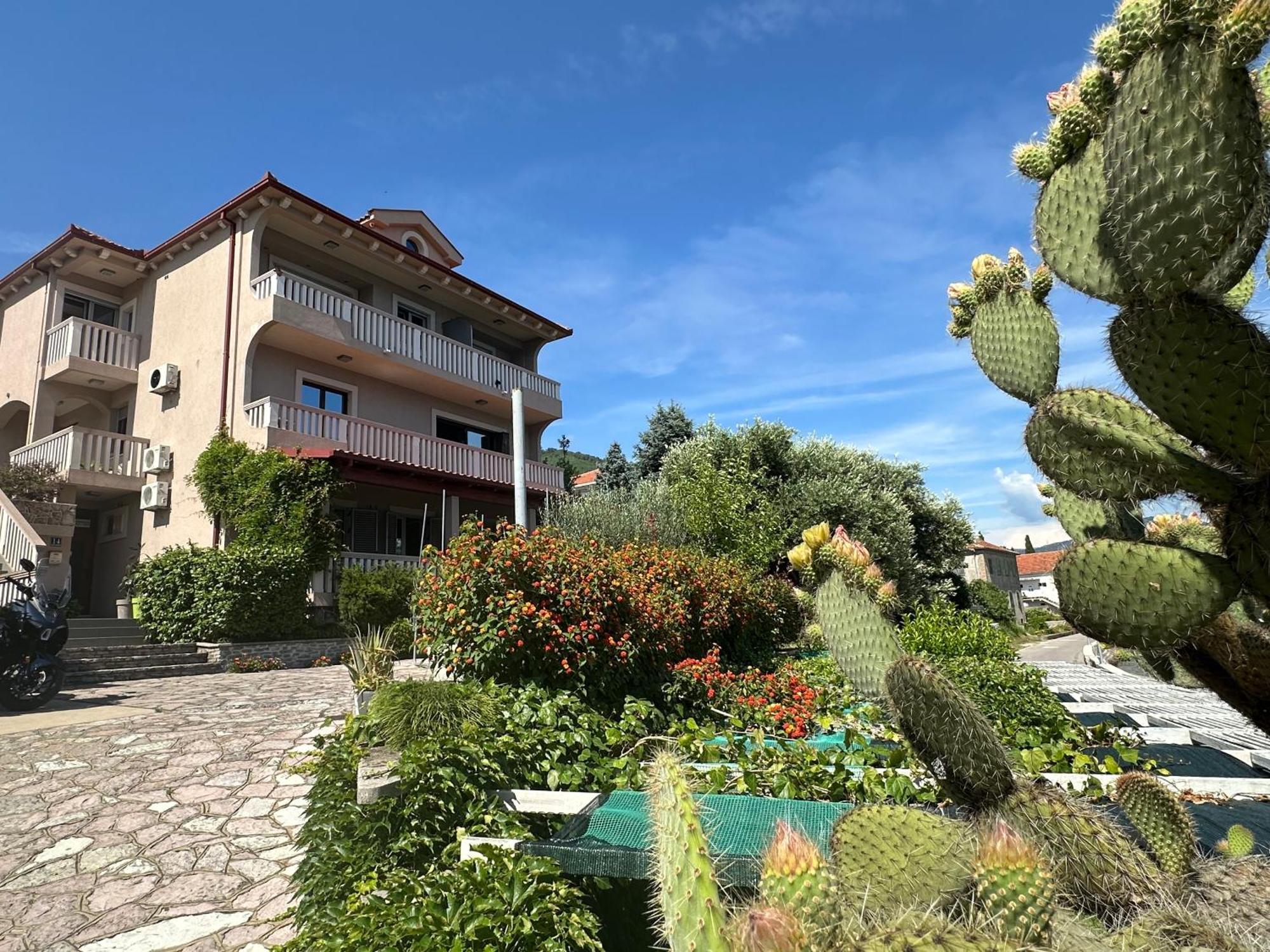 Vila Jadranka Apartments Herceg Novi Extérieur photo
